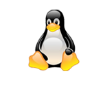 Linux hosting company